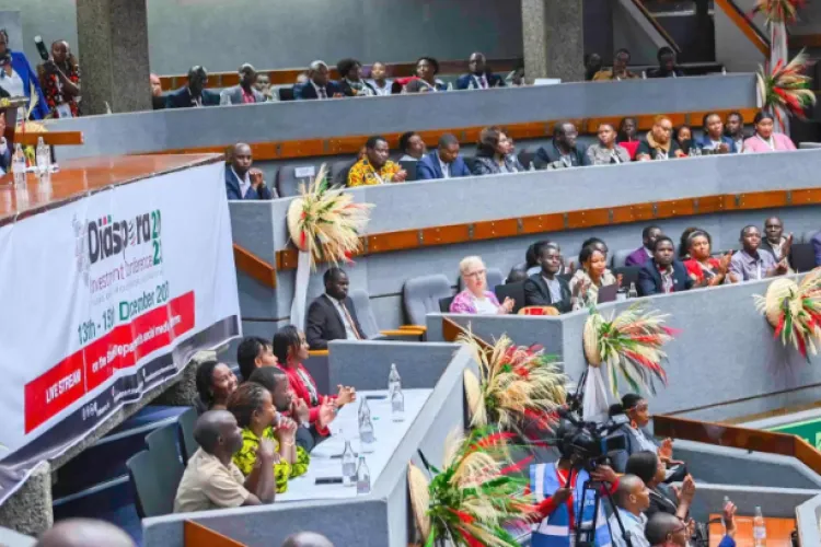 Unlocking the Potential of Diaspora Engagement and Investment