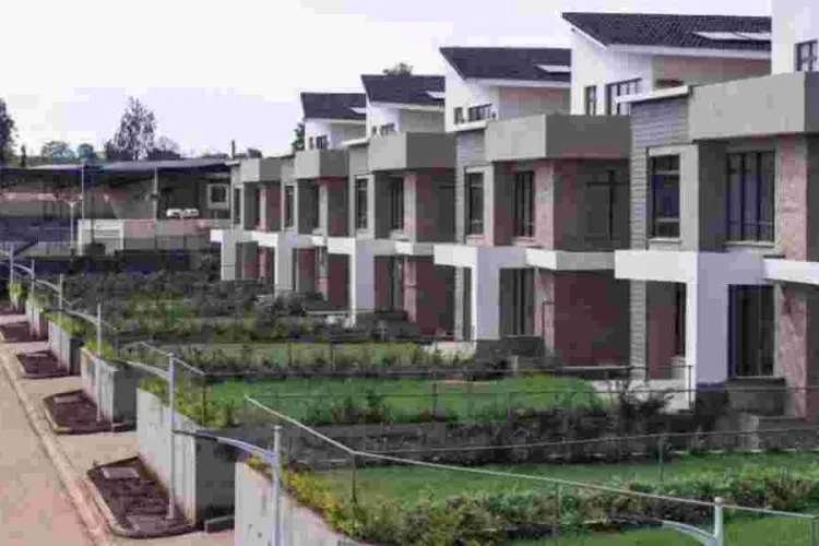 Navigating Real Estate for Wealth Creation