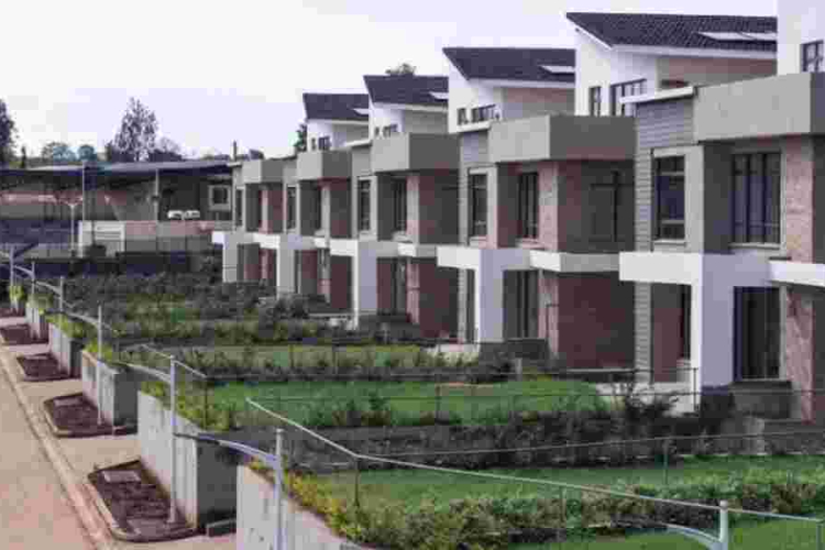 Navigating Real Estate for Wealth Creation