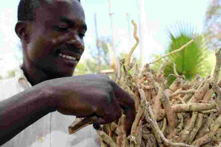 From Mukombero to Maasai Shuka: The Surprising Global Appeal of Kenya Household Items 