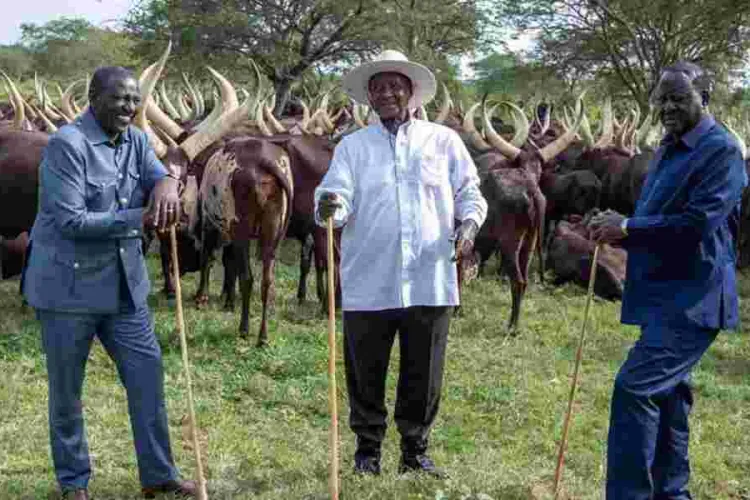 Ruto-Odinga Meeting Sparks Speculation of Political Truce
