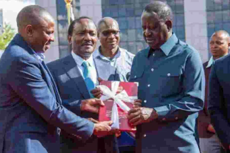 Kenya Kwanza Poised to Appoint Audit Panel Members Within 24 Hours