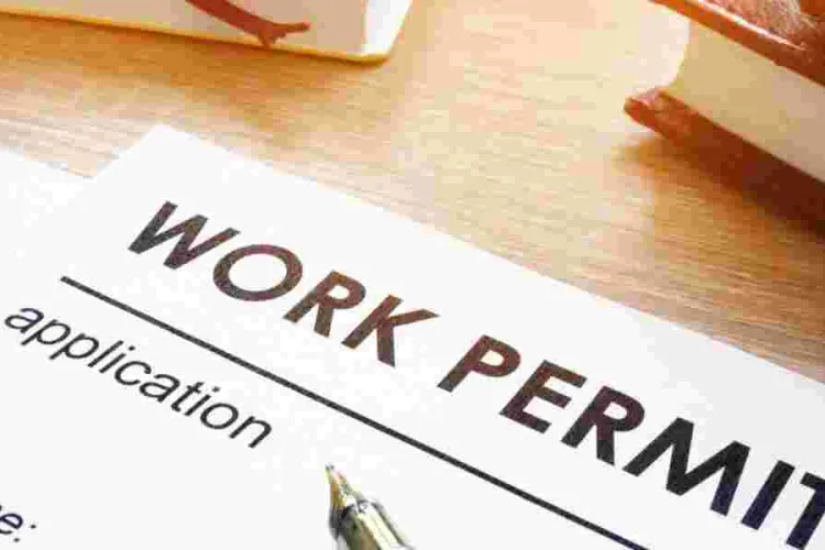 10 Countries Where International Students Can Secure Work Permits Hassle-Free
