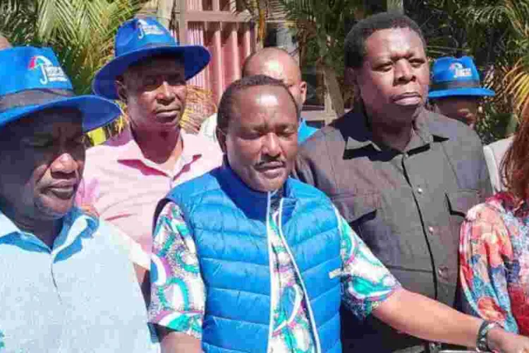 We Will Hold Ruto Govt Accountable Despite Odinga's Absence, Says Kalonzo