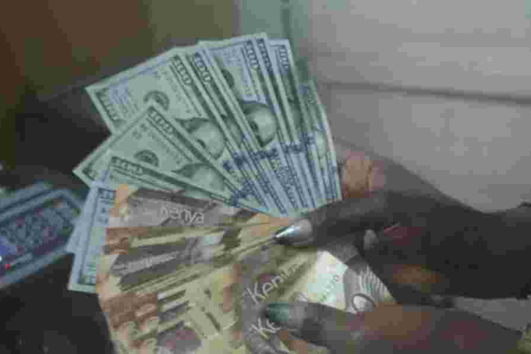 Shilling Bounces Back, Recoups Half the Value Lost 