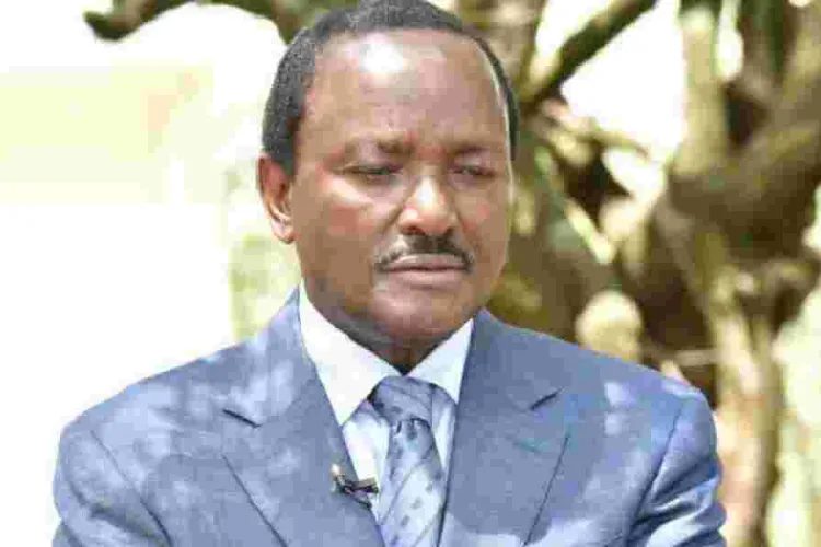 Kalonzo to Ruto: Brace for Political Tsunami to Oust Your Regime