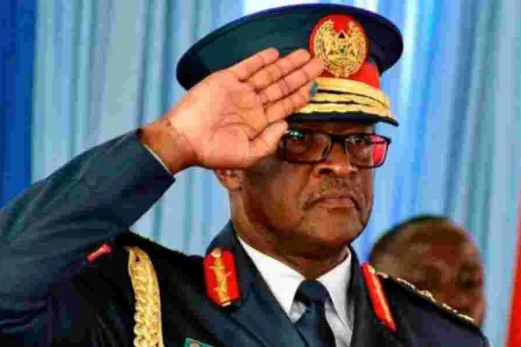 Chief of Defence Forces Francis Ogolla Dies in Helicopter Crash