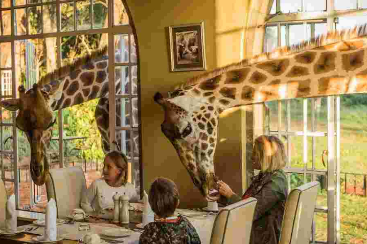 Kenyan Hotel Giraffe Manor Ranked Among the World's Top Instagrammable Hotels