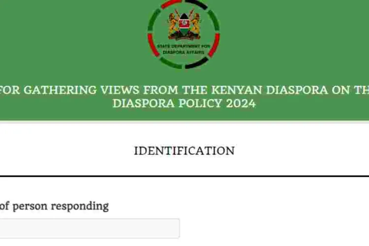 Government Seeks Diaspora Input for Investment Feedback and Policy Revision 