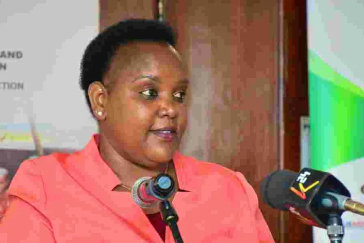 Government Hints at Establishing Safe Houses in the Gulf for Distressed Kenyan Workers