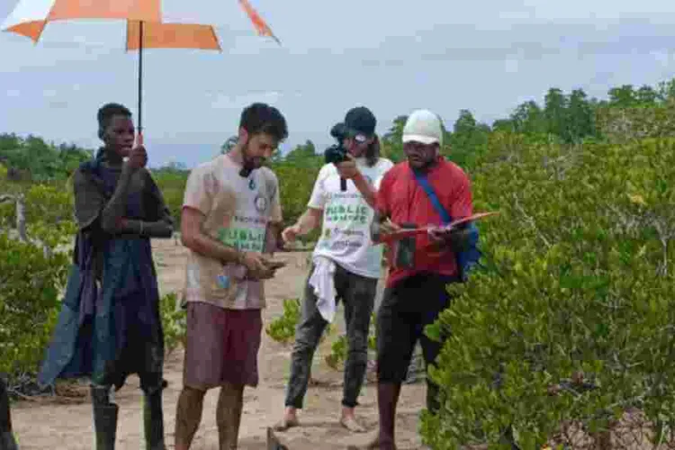 Australian Environmentalist Plants 30,279 Mangrove Trees in Kilifi for Guinness World Record