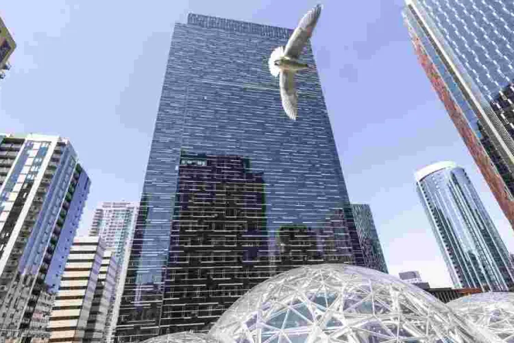 Amazon Pauses Green Card Sponsorship for Foreign Workers in 2024