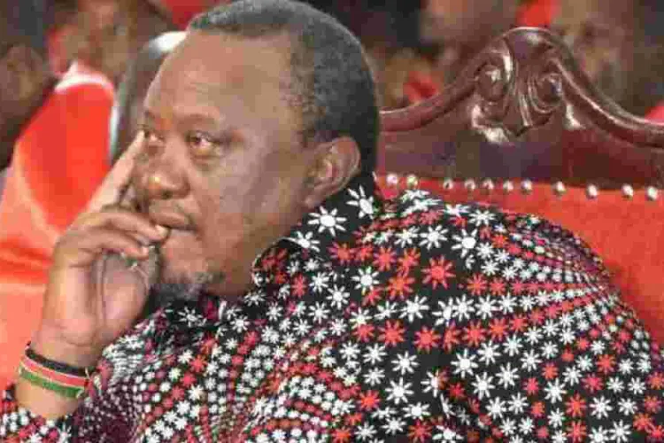 The Controversy Surrounding Mama Ngina Kenyatta's Security and Benefits