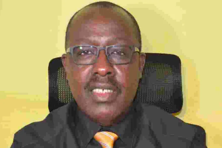 Germany-Based Kenyan Man's Consortium Wins KSh 830m to Convert Mushrooms to Healthy Proteins