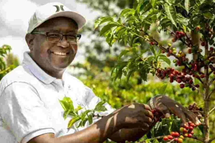How Minneapolis Startup Uplifts Kenyan Coffee Farmers 