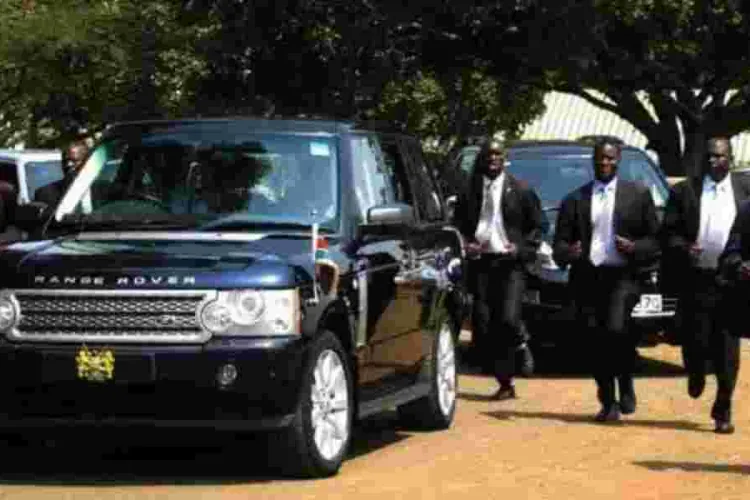 Ruto Presidential Guard Implicated in Ivory Trafficking Scandal
