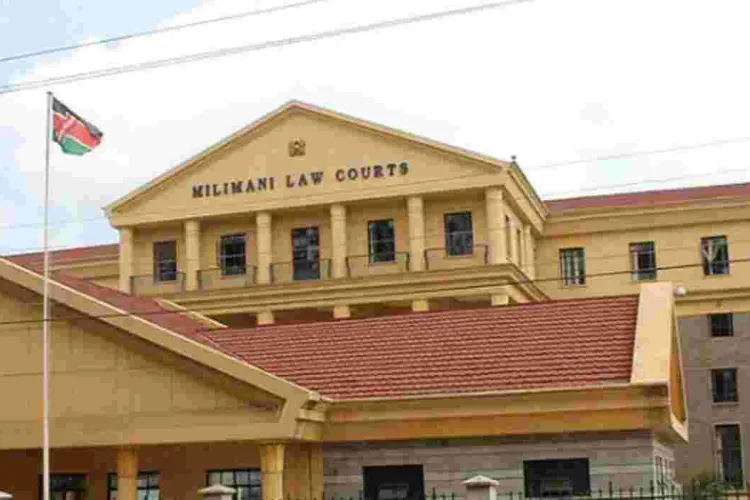 Court Orders Wig Company to Pay Kenyan Model for Image Misuse