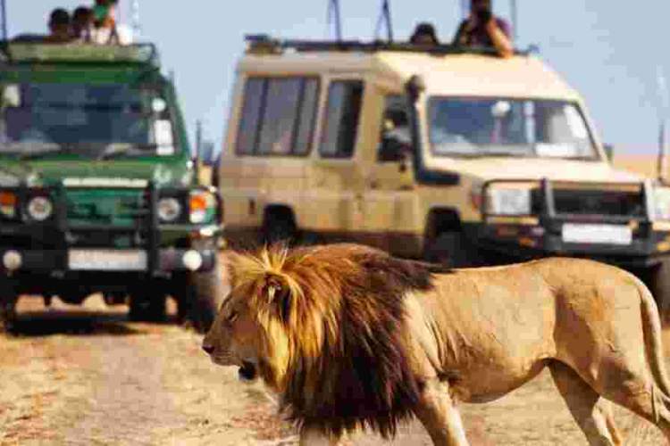 Kenya's Tourism Revenue Soars to All-Time High of Sh352 Billion