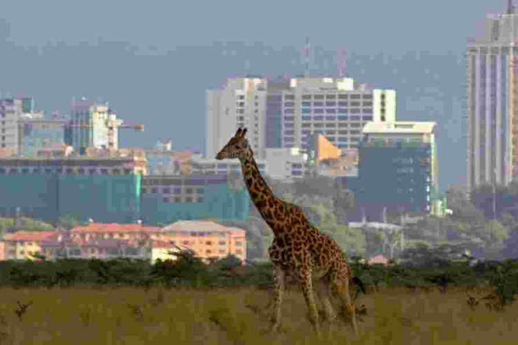 Nairobi Climbs to 4th Place in Africa's High-Rent City Rankings