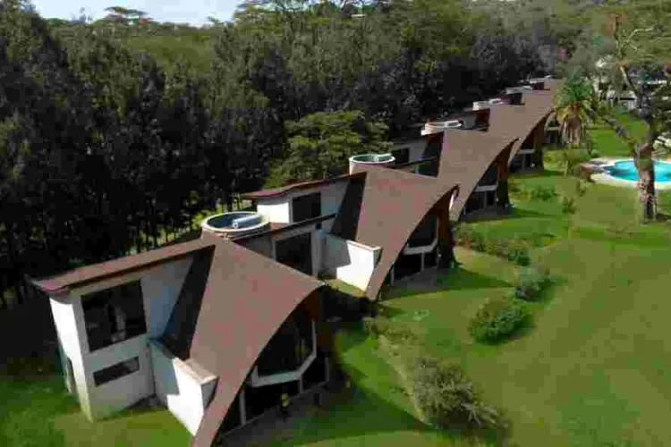 Kenyan Luxury Real Estate Faces Auction Surge Amid Market Downturn