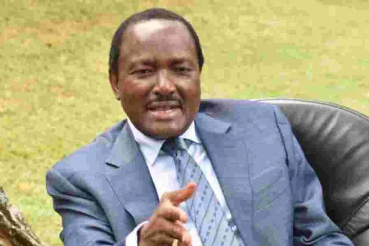 Musyoka Slams Ruto's 'Premature' 2027 Campaign, Vows to Lead Opposition