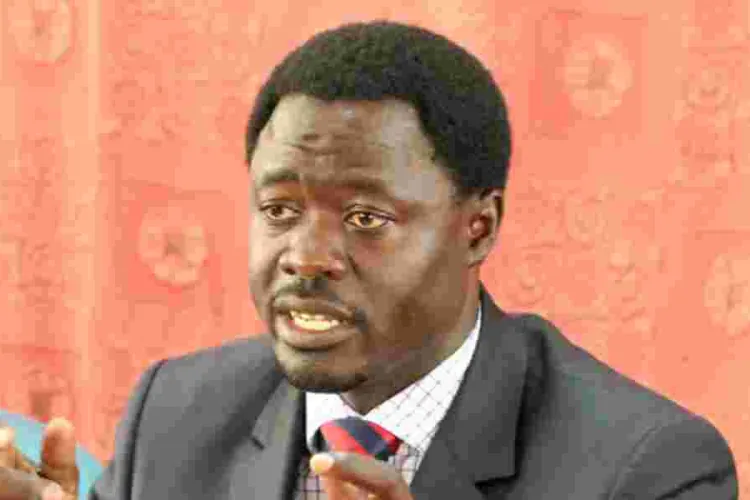 MP Peter Kaluma Misleading Posts About Kamala Harris Campaign Ignites US Media Backlash