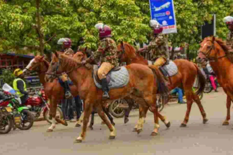 Air and Ground Forces Mobilized Ahead of Gachagua's Impeachment