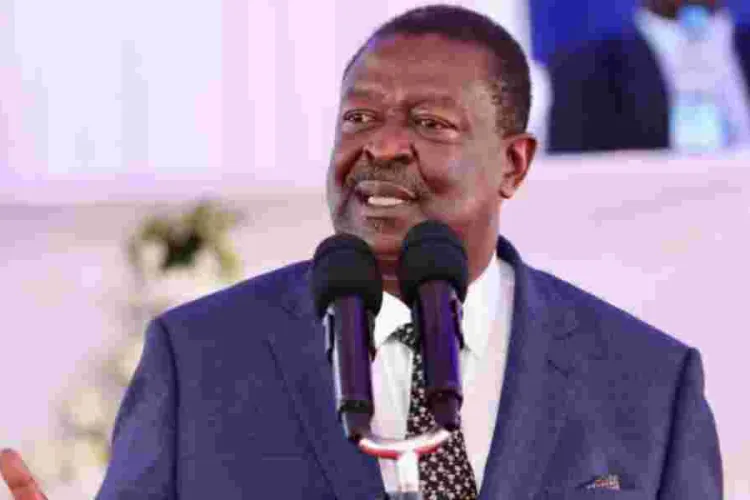 Diaspora Bond on Horizon as Kenya Launches Strategic Engagement Plan