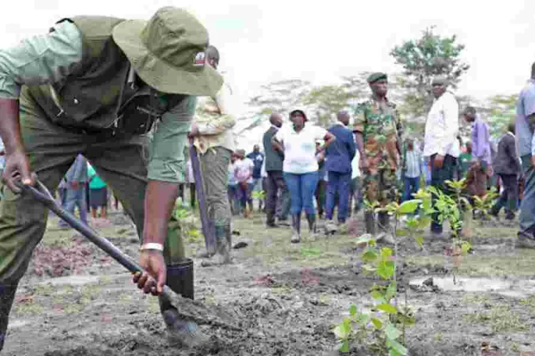 Everything You Should Know About Mazingira Day 2024