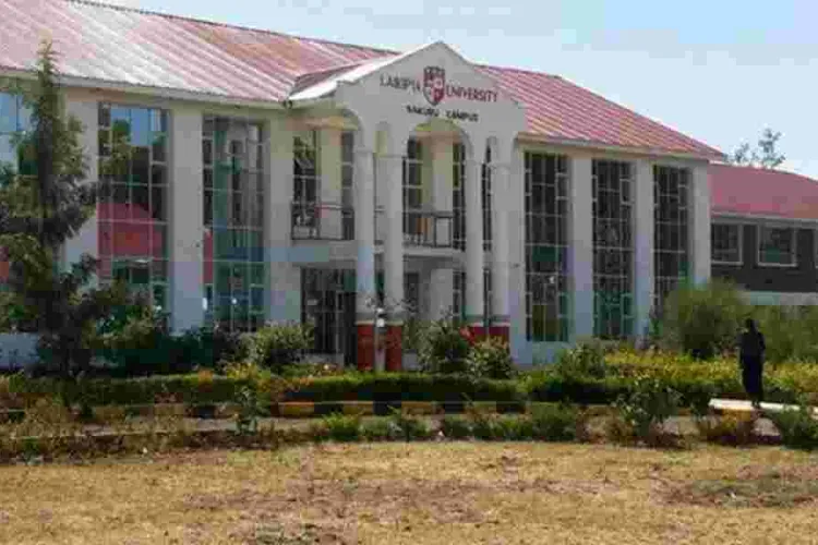 How a Stolen Phone Became the Downfall of Laikipia University's Campus Criminals