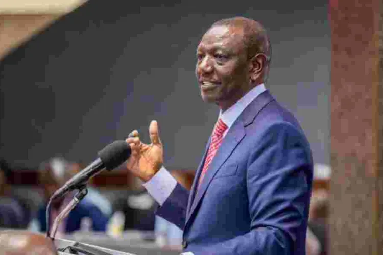 Tap Into Kenya's Vast Geothermal Potential, Ruto Tells Investors