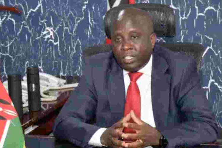 Kenya's Phone Assembly Hits 2M Mark, Says PS Tanui