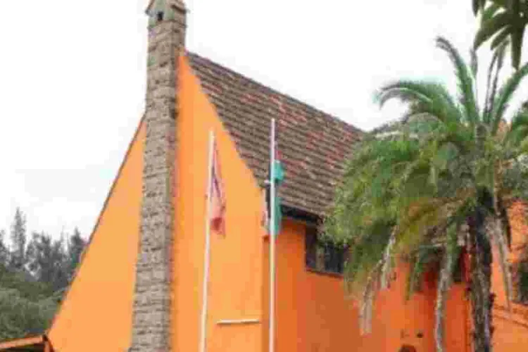 ODM: 7-Year Term Plan Violates Constitution's Core Principles
