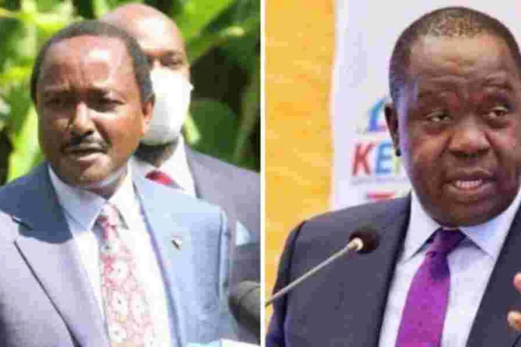 Matiang'i-Kalonzo Alliance in the Works, Kioni Confirms