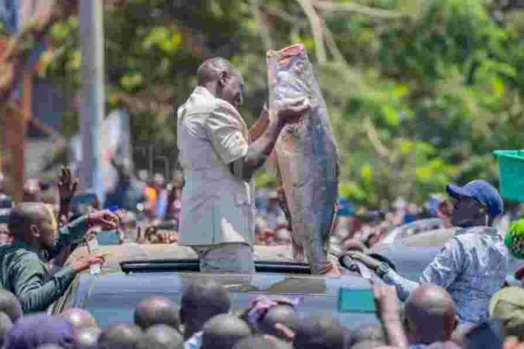 President Ruto Builds Bridges with Nyanza, Pledges Billions in Regional Investment