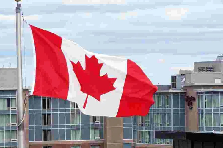 5 Million Temporary Residents Face Potential Departure from Canada