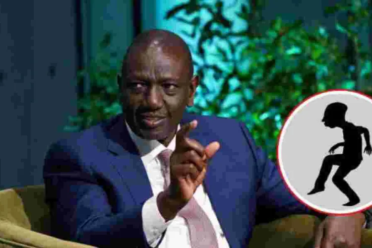 No Arrest Planned for Ruto Silhouette Creator, Says PS Omollo