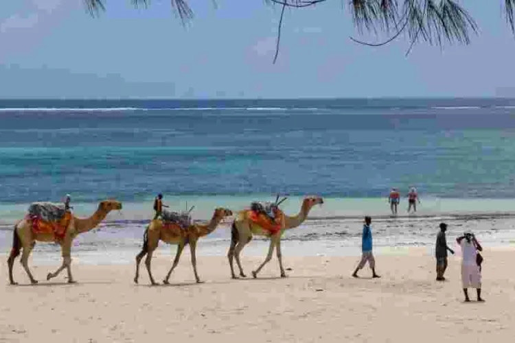 Lamu Authorities Urge Caution on Treacherous Indian Ocean Beaches