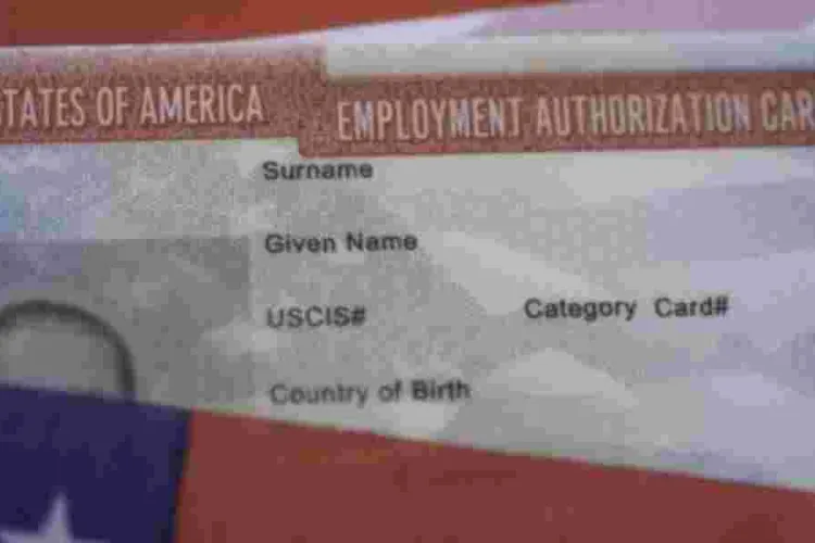 Can I Work While My Green Card is Pending?