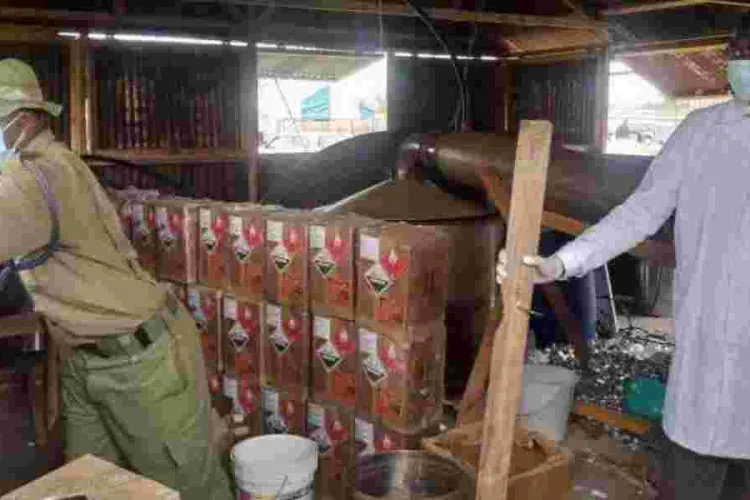 Massive Drug Operation Found Deep in Kenya's Namanga Forest