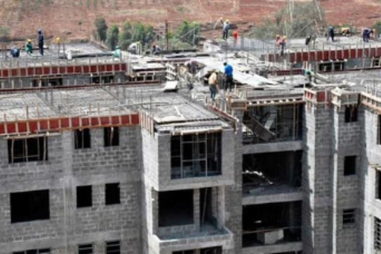 Kenya Property Report: Larger Units Outperform Studios in Rental Returns