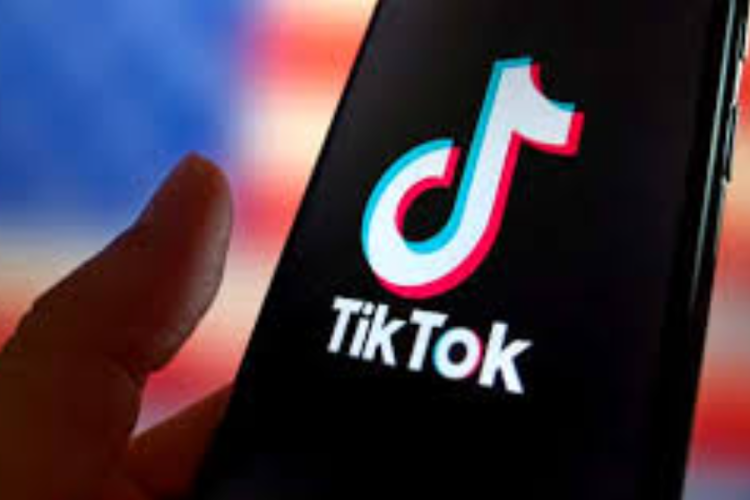 TikTok's 24-Hour Shutdown Drama Ends with Trump's 90-Day Reprieve