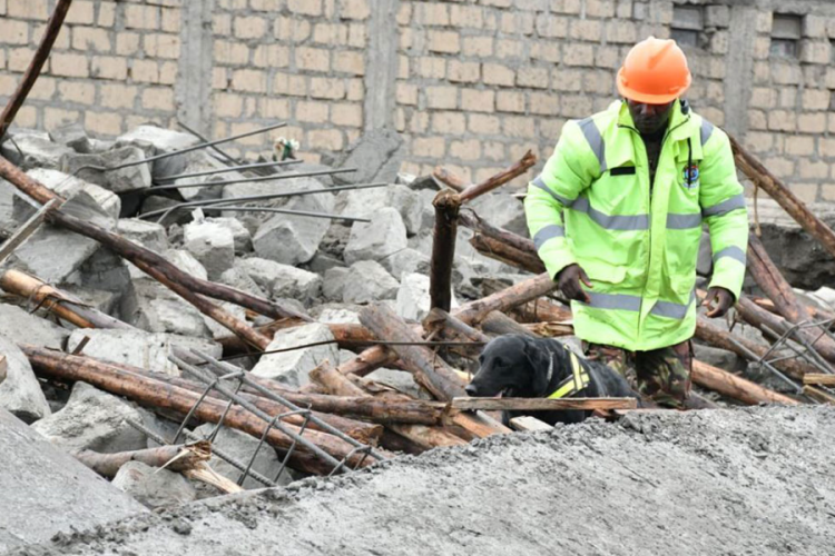  Government Unveils Strict Regulations for Kenya's Sand Industry