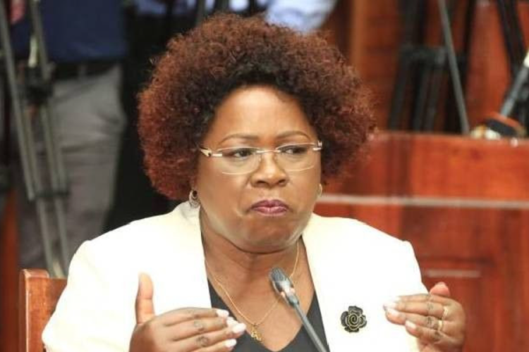CS Wahome Reveals Property Ownership Structure for Affordable Housing