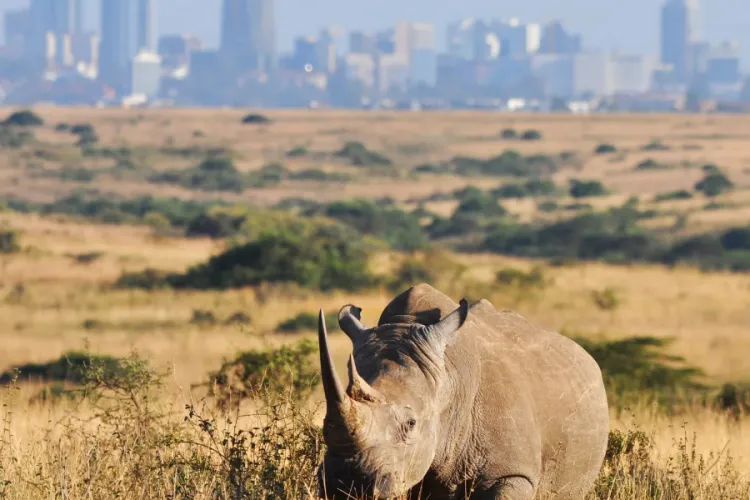 Kenya Tourism Board Awards Eight Photographers in National Contest to Showcase Hidden Attractions