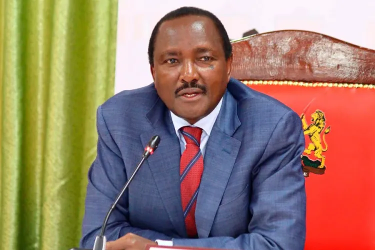 Kalonzo Writes Letter to Raila Seeking Clarity on NADCO Report Progress