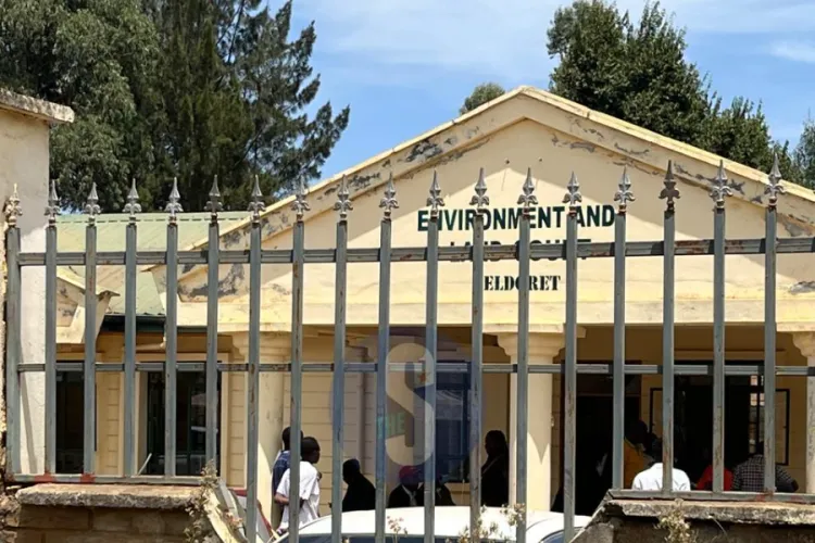 Defilement Suspect Escapes Custody at Eldoret Court; Manhunt Underway