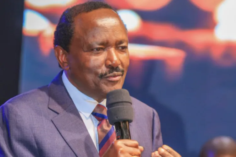 Kalonzo Announces Major Rebranding for Wiper Party
