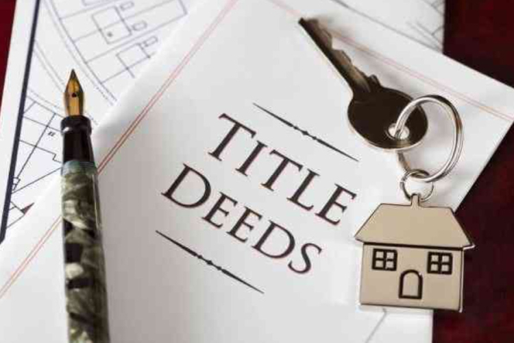 Kenyan Landowners Face Greater Risk from Family Disputes than Fraud
