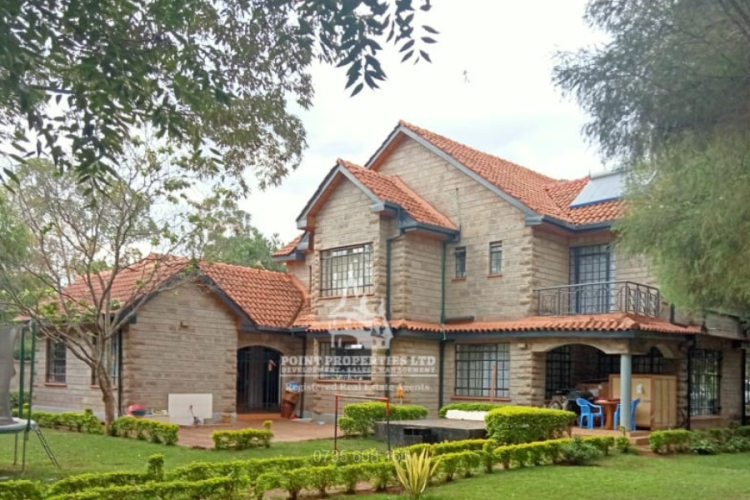 Kenya’s Wealthy Shift Investments to Classic Cars, Art, and Luxury Goods